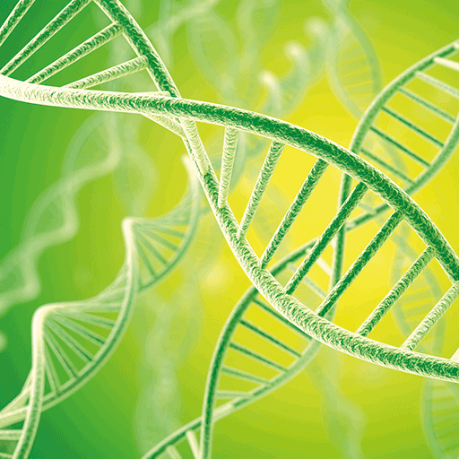Öffne dich für deine Heilkräfte – Das Genetic-Healing-Erlebnis-Seminar