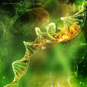 Ausbildung  DNS-Clearing:  Energetische Impf-Deaktivierung & Gen-Re-Programmierung