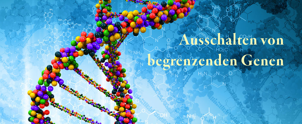 Slider - Gabriele A. Petrig - Ausschalten von begrenzenden Genen