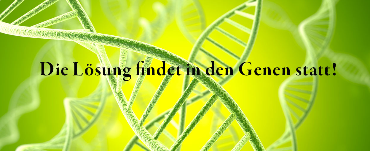 header-dns-main-1248x512px