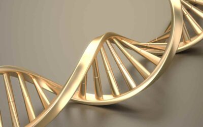Genetic-Healing – Next Level – Fortbildung für unsere Coaches