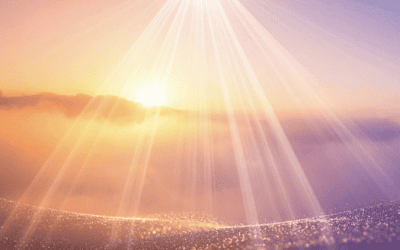 Leben in der 5. Dimension: Zuhause im höheren Bewusstsein